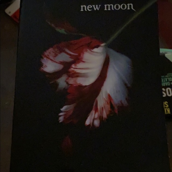 Twilight series - Picture 4 of 5